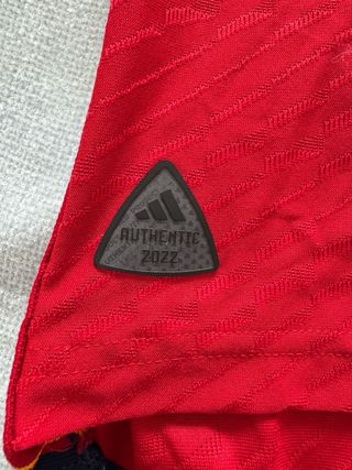 Camiseta Selección Española - Versión jugador 2022