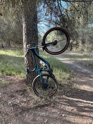 Bicicleta Giant Reign