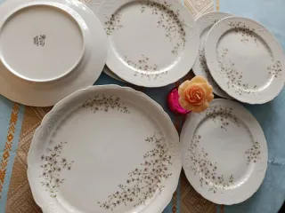 Santa Clara a Estrenar flores rosas