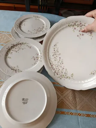 Santa Clara a Estrenar flores rosas