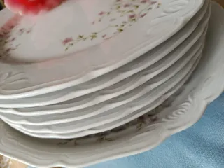 Santa Clara a Estrenar flores rosas