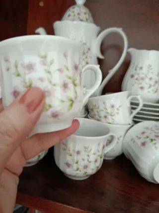 Santa Clara a Estrenar flores rosas