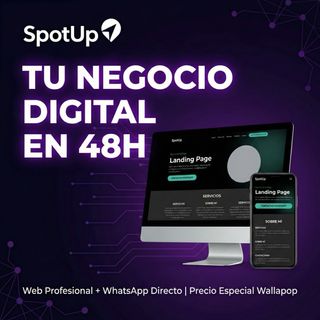 WEB Profesional Económica (Lista en 48h)