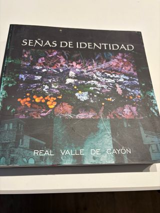 Libro, señas de identidad real Valle de Cayón