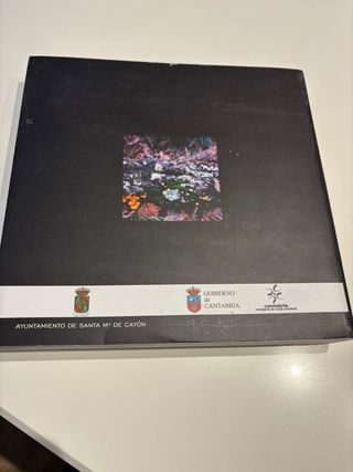 Libro, señas de identidad real Valle de Cayón