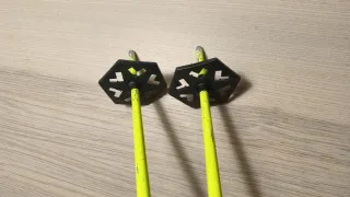 Bastones esquí Black Crows 110 cm