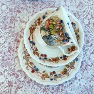 Tazza da tè Royal Doulton Brambly Hedge, Autumn