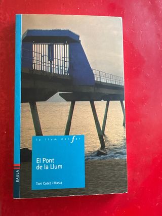 El Pont de la Llum