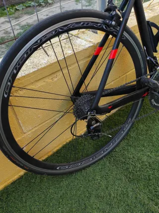 Bicicleta Orbea Orca