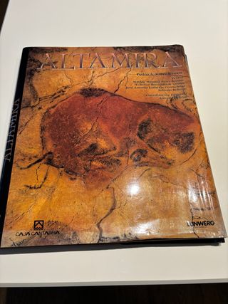 Libro Altamira de Pedro, a Saura Ramos