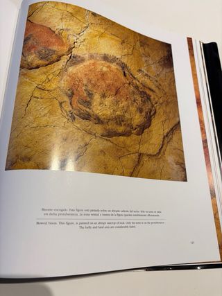 Libro Altamira de Pedro, a Saura Ramos