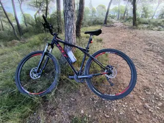 Bicicleta MTB 29