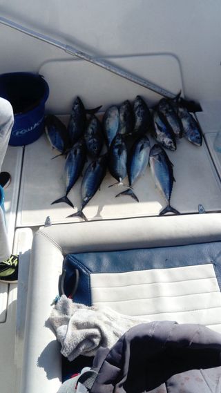 Barca ideal para pesca