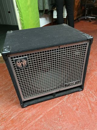 Pantalla Bajo SWR 200W