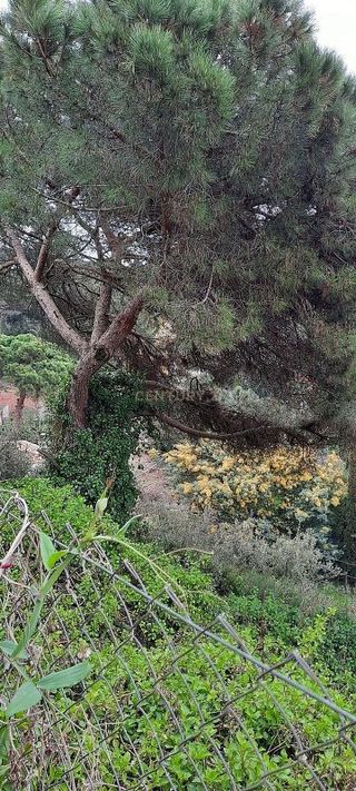 Terreno en venta en Dosrius