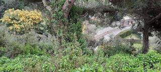 Terreno en venta en Dosrius