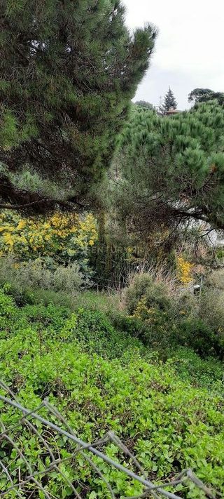 Terreno en venta en Dosrius