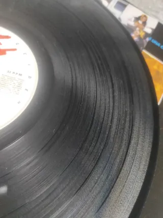 Vinilo Dinamita para los pollos - Sin Rodeos