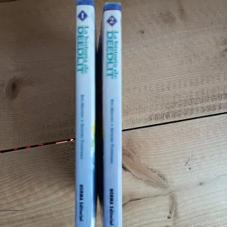 Historia de deedlit 1, la