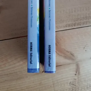 Historia de deedlit 1, la