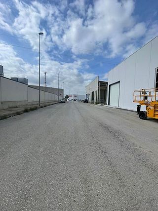 Nave industrial en alquiler en Molina de Segura ciudad en Molina de Segura
