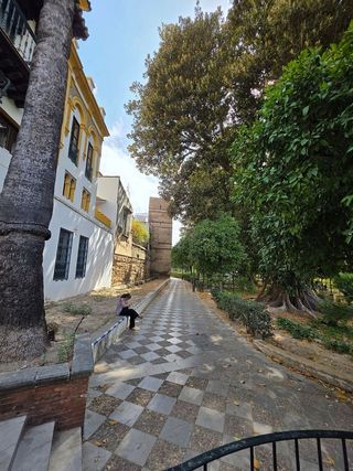 Piso en alquiler en Santa Cruz en Sevilla