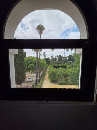 Piso en alquiler en Santa Cruz en Sevilla