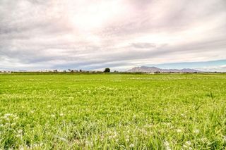 Terreno en venta en San Isidro (Alicante/Alacant)