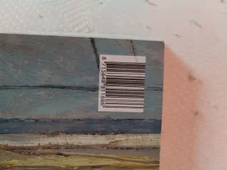 100 Obras Maestras Del Van Gogh Museum