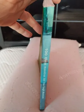 100 Obras Maestras Del Van Gogh Museum