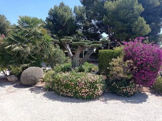 Chalet en alquiler en Crevillent