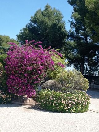 Chalet en alquiler en Crevillent