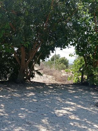 Chalet en alquiler en Crevillent