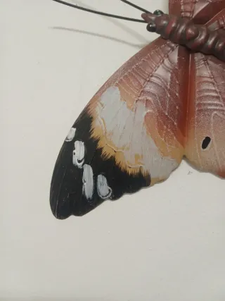 Farfalla decorativa in plastica