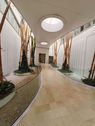 Piso en alquiler en Castillejos en Madrid