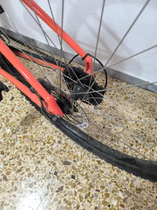 Bicicleta Specialized 29