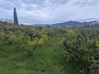 Terreno en venta en Cártama