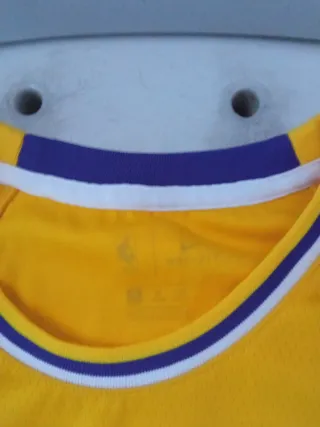 Camiseta Lakers 23 Baloncesto Talla M