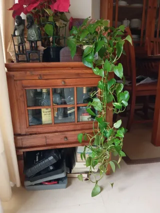 comedor Teka: Alacena, Botellero y comedor