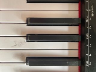 Piano eléctrico con soporte (precio negociable)