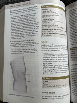 La práctica de la medicina china. 2da edicion.