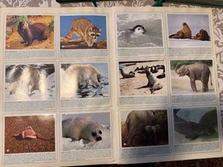 Colección ZOOBOOKS con Album