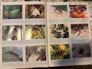 Colección ZOOBOOKS con Album