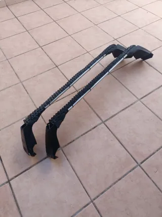 Bacas Barras de techo