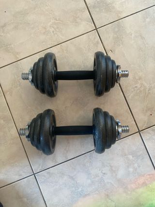 Mancuernas ajustables 10kg