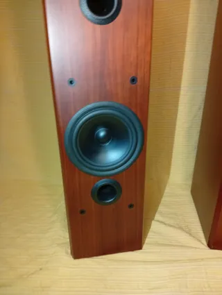 Altavoces de columna , suelo, B&W P5