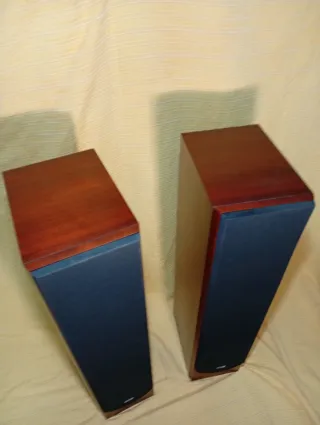 Altavoces de columna , suelo, B&W P5