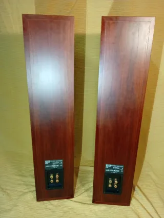 Altavoces de columna , suelo, B&W P5