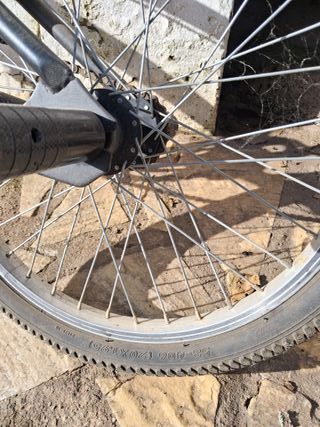 Bicicleta BMX 20 juvenil y dinámica