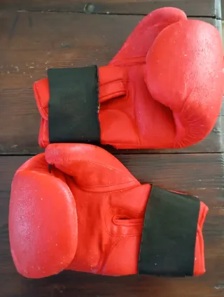 Guantes de Boxeo Domyos 12oz Rojos